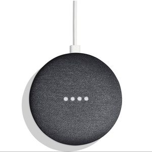 Charcoal google home mini